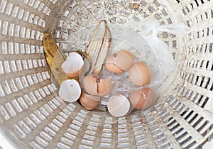 Shell eggs in the basket