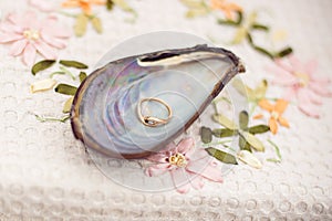 Shell with engagement ring inside photo