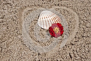 Shell with flower