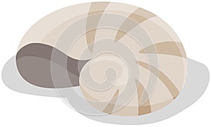 Shell isolated on white background. Chitin structure protecting snail vector illustration