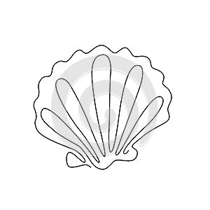 SHELL LINE ART. Vector sea shell. Continuous Line Drawing Vector Illustration