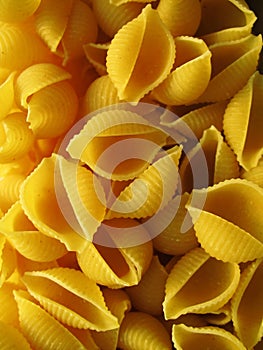 Shell Macaroni