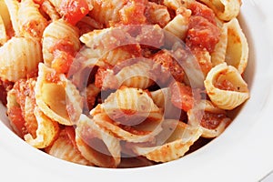 Shell macaroni