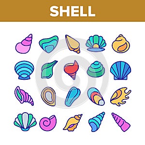 Shell And Marine Conch Collection Icons Set Vector