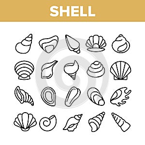 Shell And Marine Conch Collection Icons Set Vector