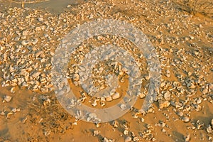 A Shell Midden in Ras al Khaimah