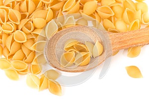 Shell pasta