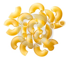 Shell. Pasta isolated on white