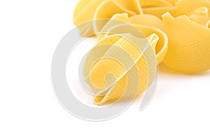 Shell pasta on a white background