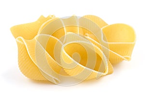 Shell pasta on a white background