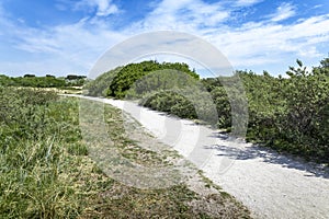 A shell path through the Katwijk dunes on a sunny day. photo