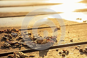 Shell of peanut on wooden table