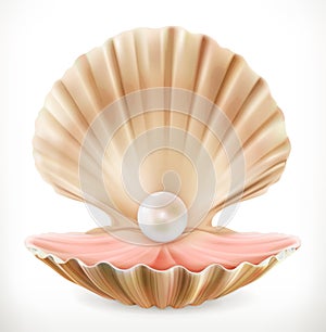 Shell with pearl. Clam, oyster 3d vector icon photo