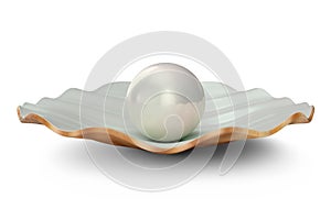 Shell with pearl inside. Natural open pearl shell. 3D illustration