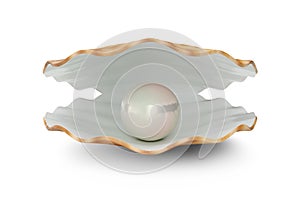 Shell with pearl inside. Natural open pearl shell. 3D illustration