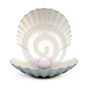 Shell pearl on a white