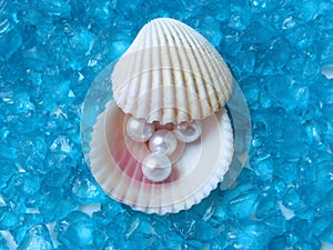 Shell with pearls
