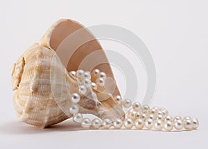 Shell and Pearls