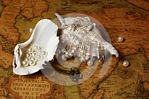 Shell with pearls