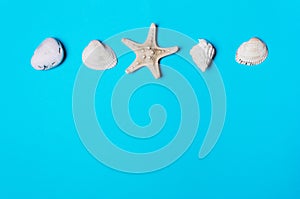 Shell, pebble, starfish on a blue background