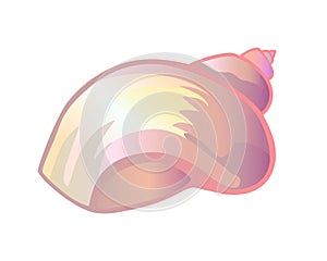 Shell pink-beige spiral sea shell. Ocean clam in a shining pink shell - vector full color picture.