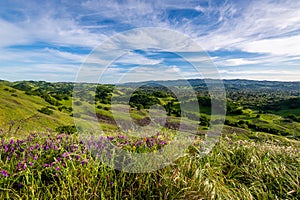 Shell Ridge and Mount Diablo State Park