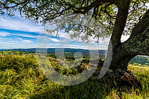 Shell Ridge and Mount Diablo State Park