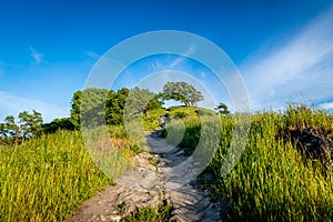 Shell Ridge and Mount Diablo State Park