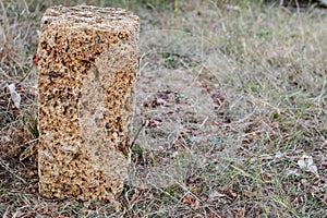 Shell rock building blocks