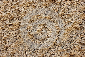 Shell rock texture