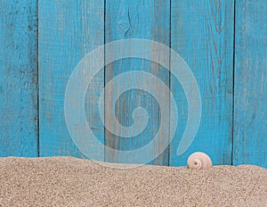 Shell on sand against a old wooden background