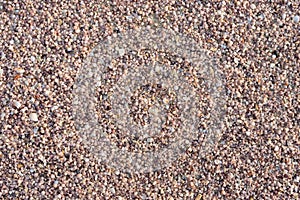 Shell sand background