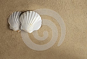 Shell sand romantic