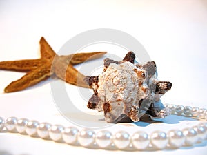 Shell, star, pearls