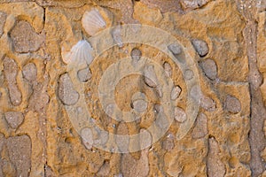 Shell stone texture