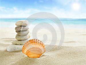 Shell and stones on the beach