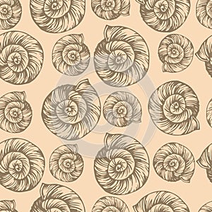 Shell vector seamless pattern.