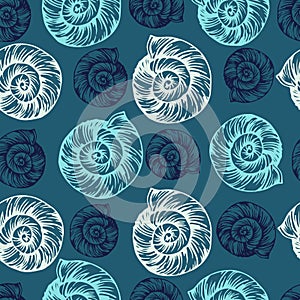 Shell vector seamless pattern