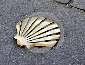 Shell in the Way of St James photo