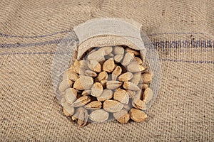 Shelled Almonds, Heap of natural organic almonds with hard shell. Raw fresh almonds with shell. closeup of a pile of almonds in