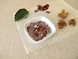 Shelled beech nuts in a bowl