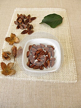 Shelled beech nuts in a bowl