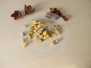 Shelled beechnuts without hull on a wooden board