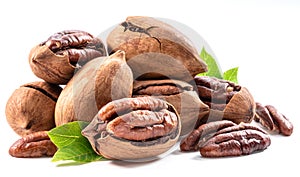 Shelled and cracked pecan nuts with leaves close-up on white background
