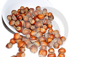 Shelled hazelnuts in bowl