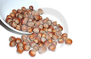 Shelled hazelnuts in bowl