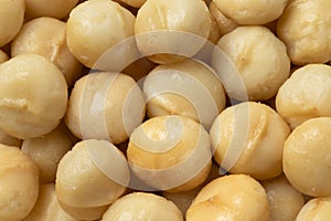 Shelled macadamia nuts full frame close up