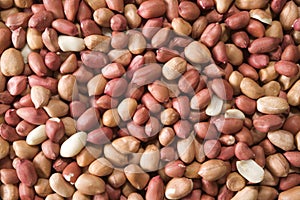 Shelled peanuts