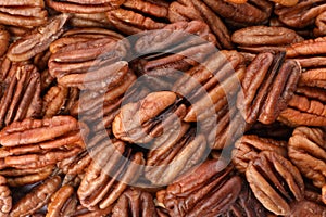 Shelled pecan nuts as background, top view
