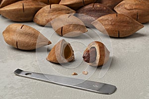 Shelled pili nut close up and unshelled at the background